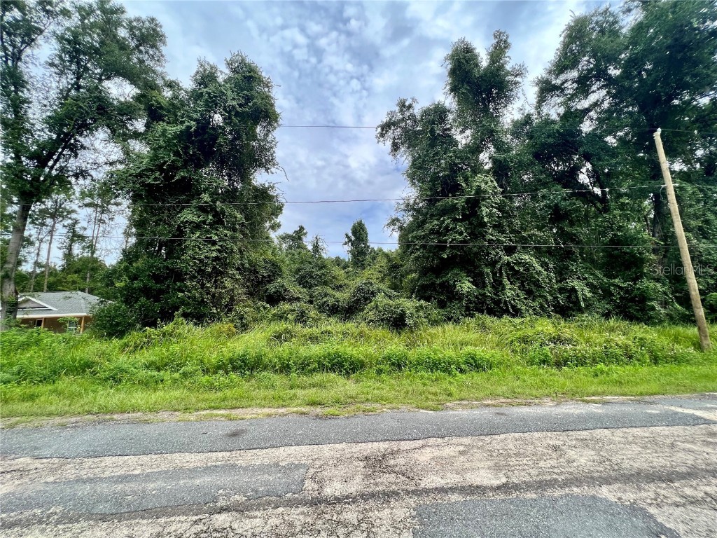 325 W Eridani Court Citrus Springs FL 34434 C7496264 image1