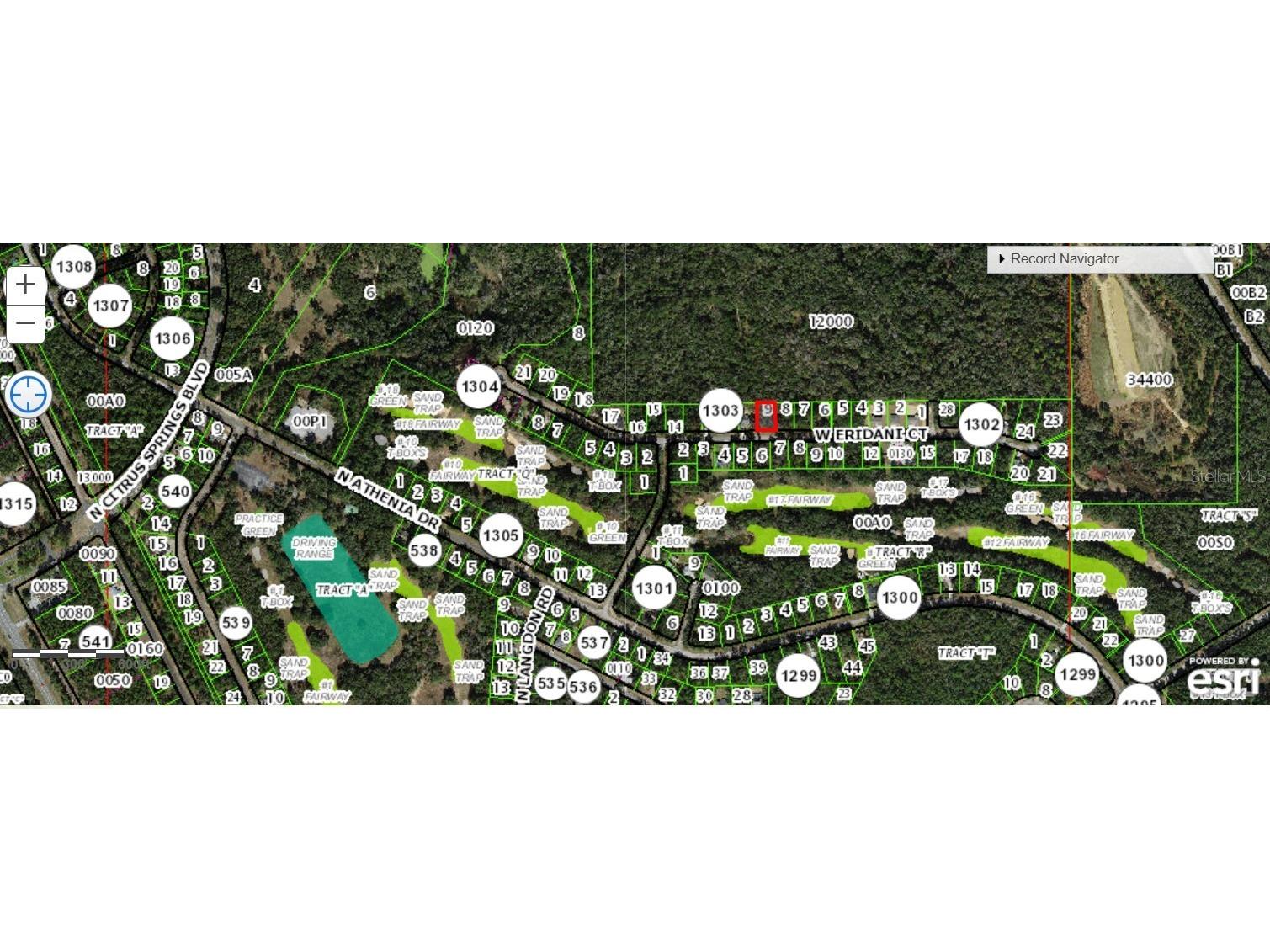 325 W Eridani Court Citrus Springs FL 34434 C7496264 image4