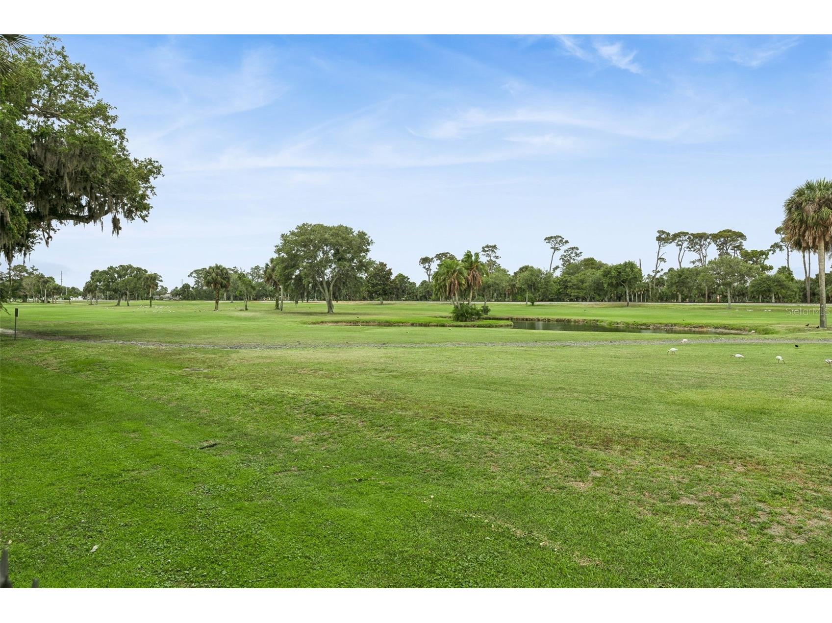 325 Wilder Boulevard #103 Daytona Beach FL 32114 V4949123 image32