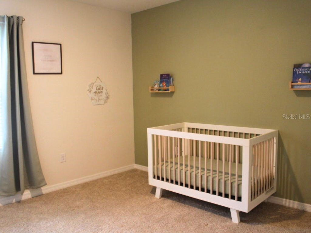 3250 Blue Crab Drive Tavares FL 32778 G5106798 image33