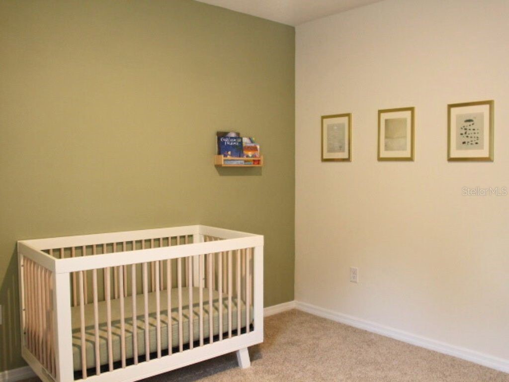 3250 Blue Crab Drive Tavares FL 32778 G5106798 image34