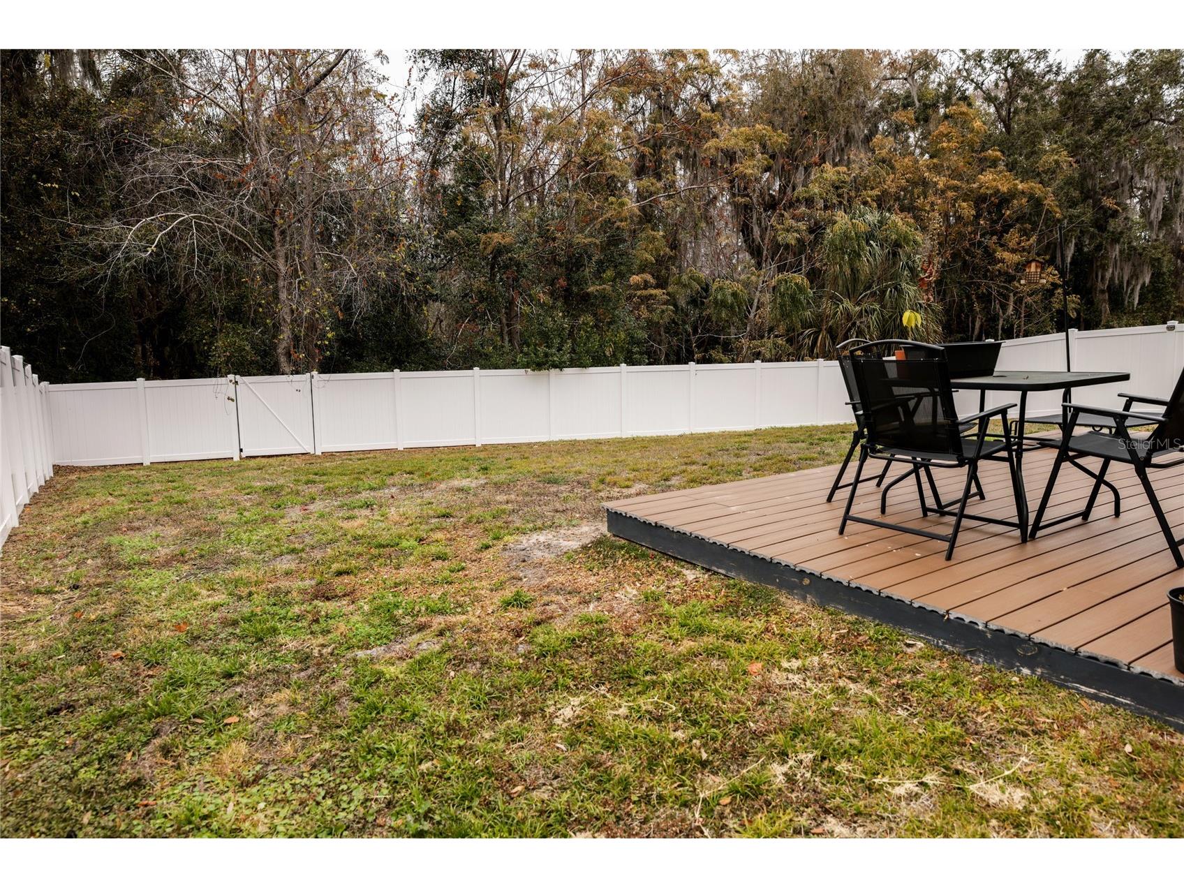 3250 Blue Crab Drive Tavares FL 32778 G5106798 image46