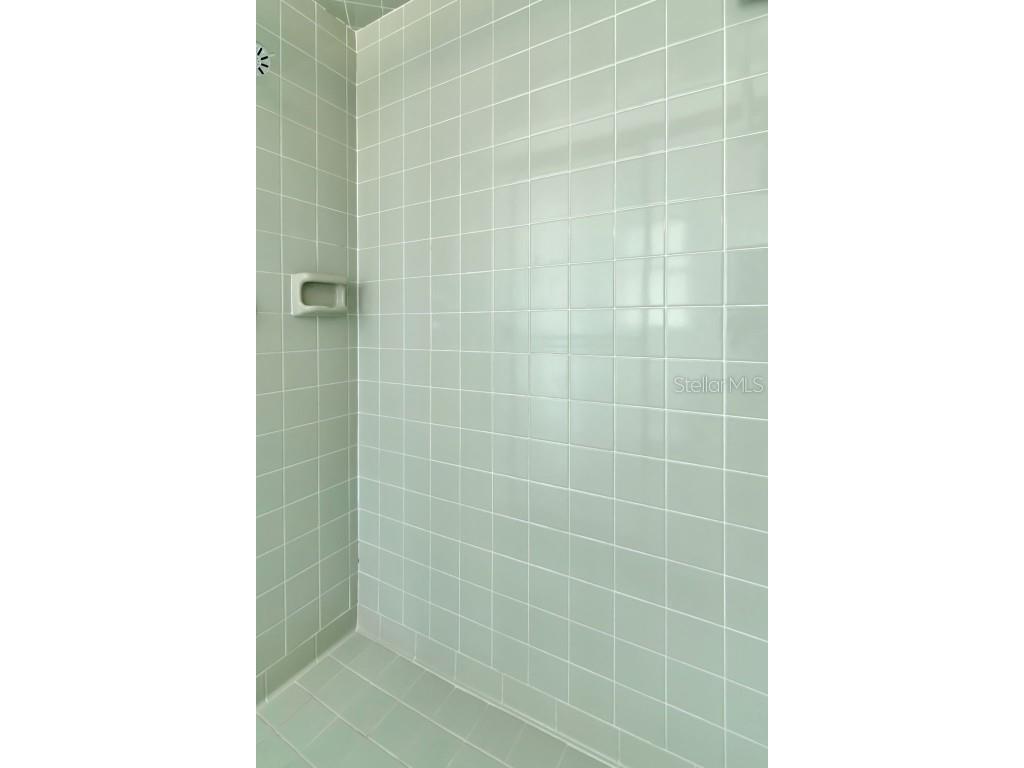 3250 Causeway Drive Palm Harbor FL 34684 TB8420345 image11