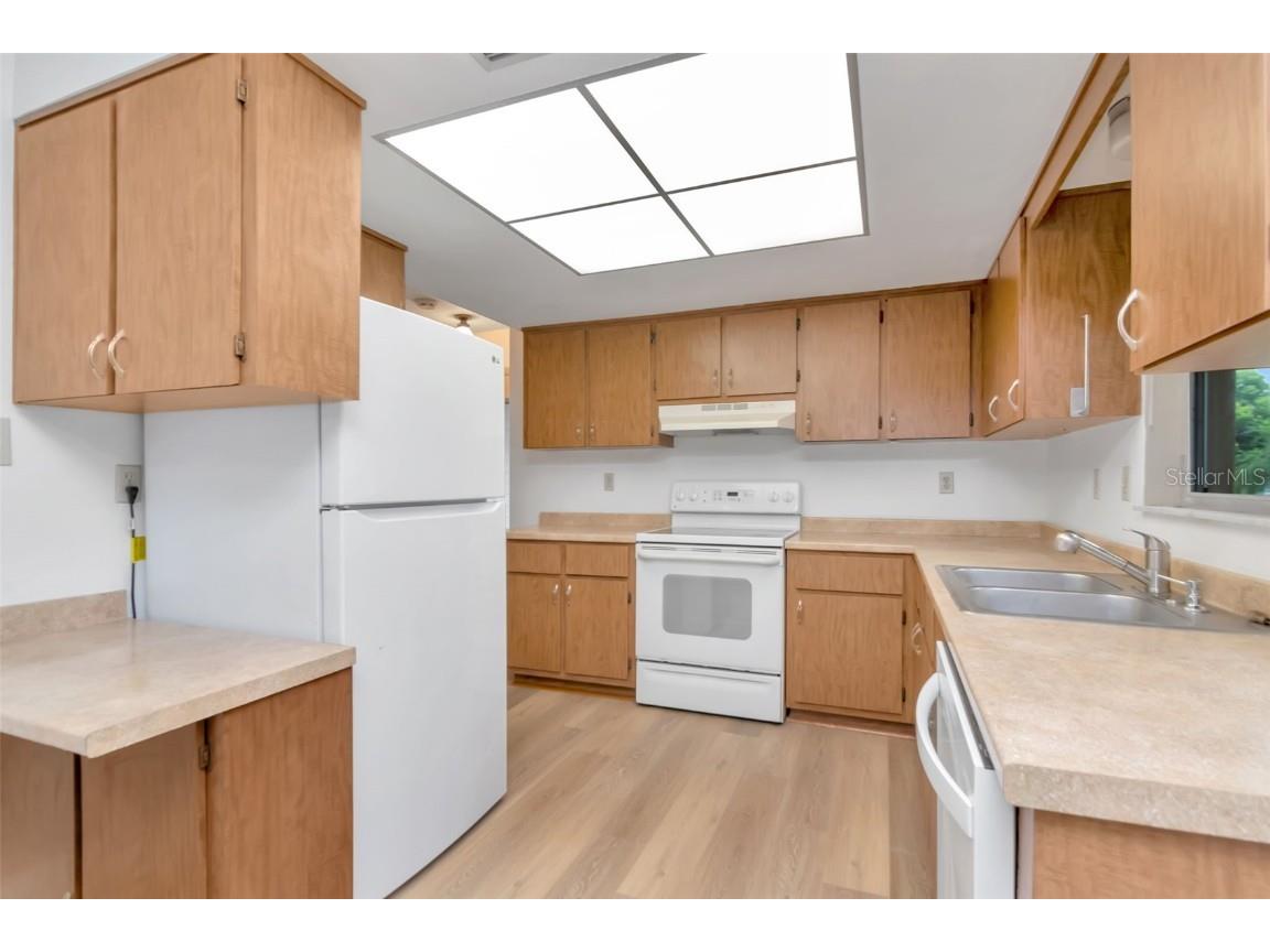 3250 Causeway Drive Palm Harbor FL 34684 TB8420345 image26