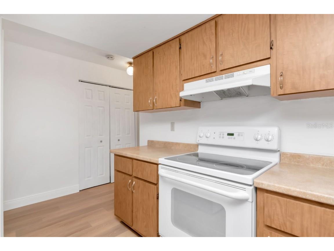 3250 Causeway Drive Palm Harbor FL 34684 TB8420345 image28