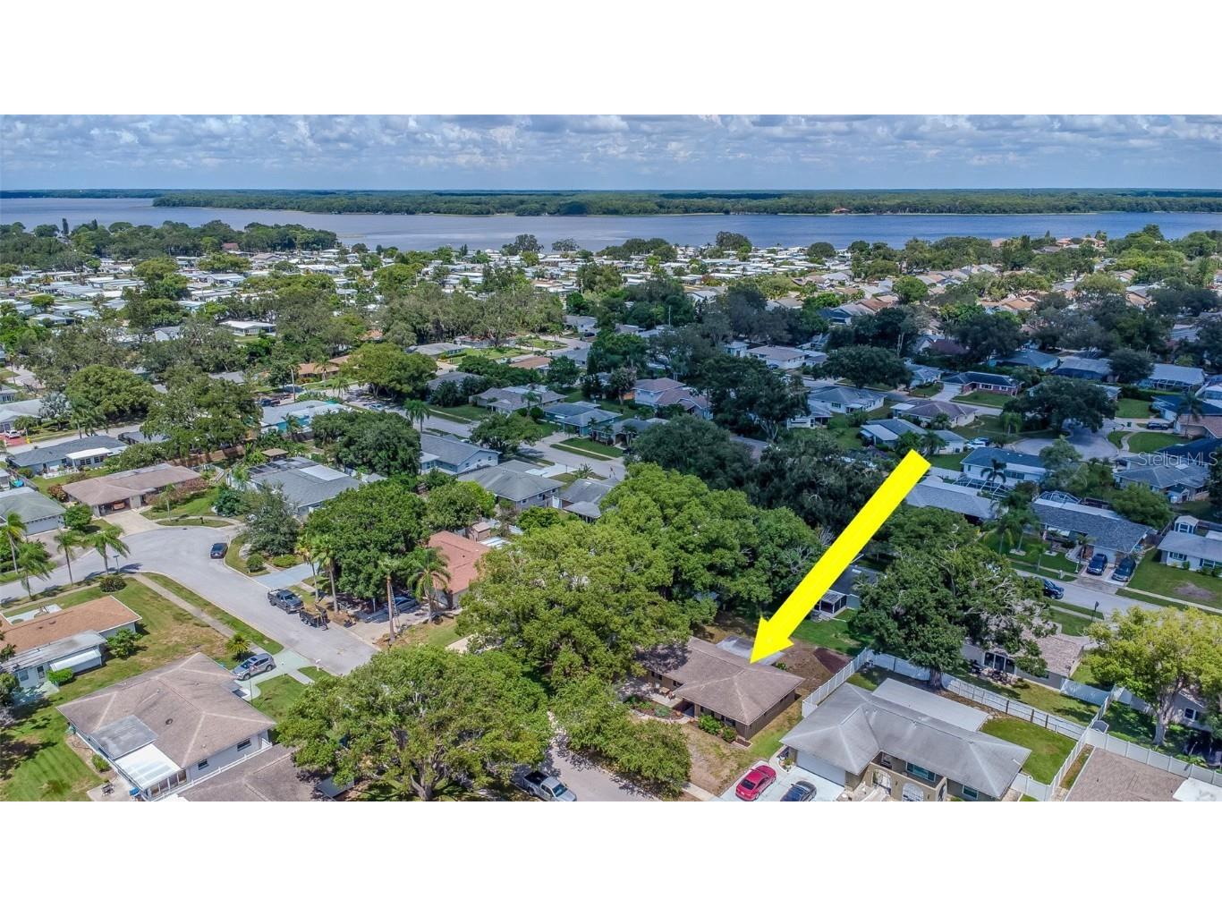 3250 Causeway Drive Palm Harbor FL 34684 TB8420345 image41