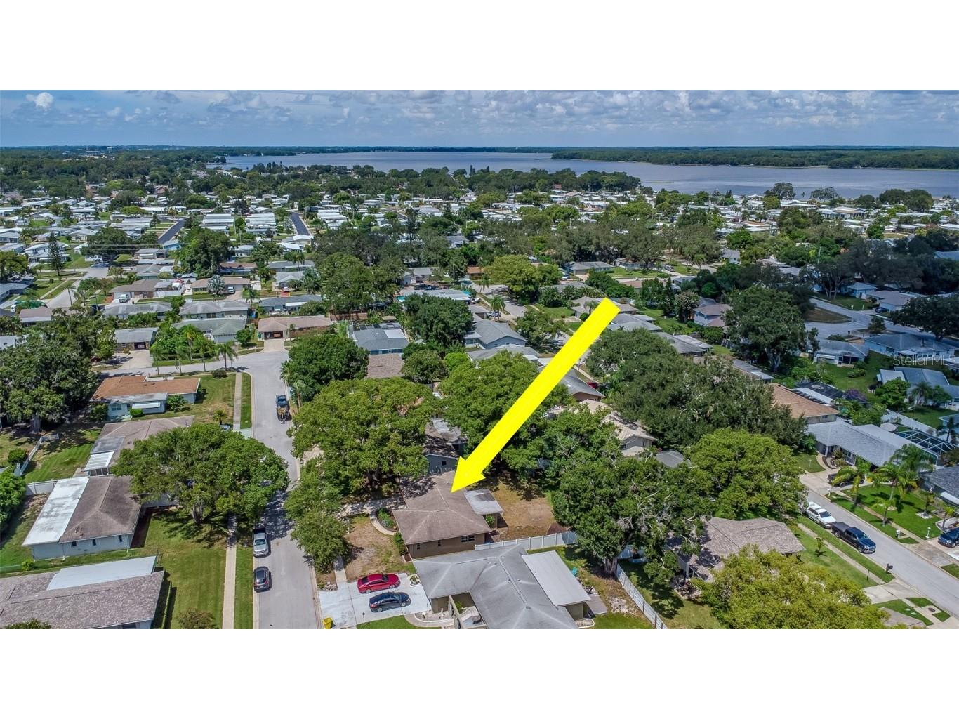 3250 Causeway Drive Palm Harbor FL 34684 TB8420345 image45