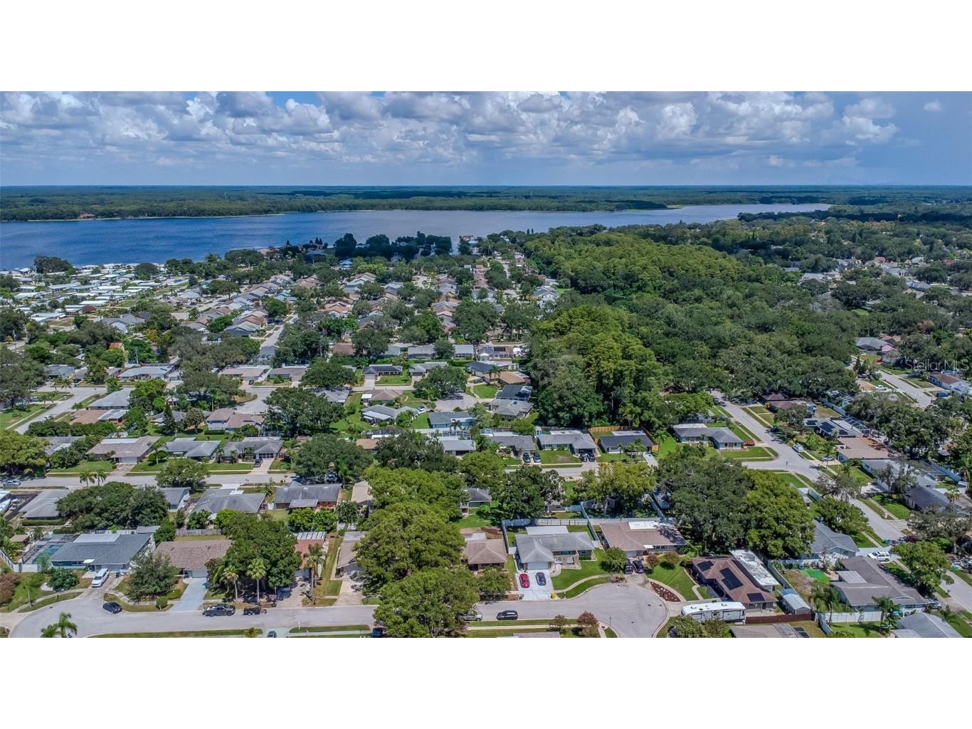 3250 Causeway Drive Palm Harbor FL 34684 TB8420345 image46