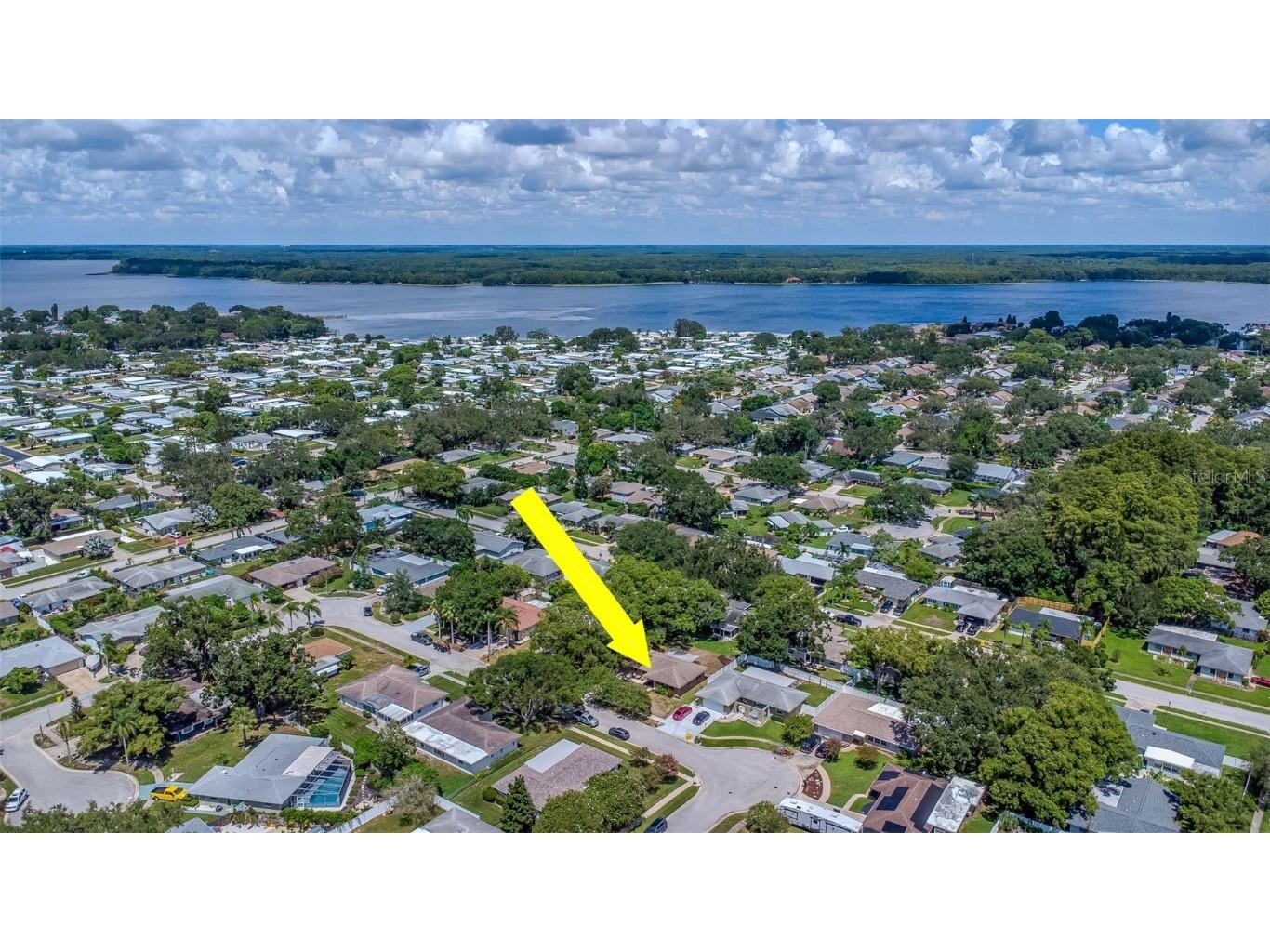 3250 Causeway Drive Palm Harbor FL 34684 TB8420345 image48