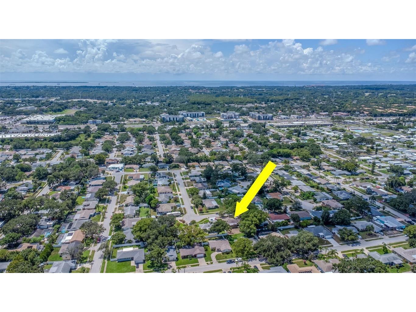 3250 Causeway Drive Palm Harbor FL 34684 TB8420345 image50