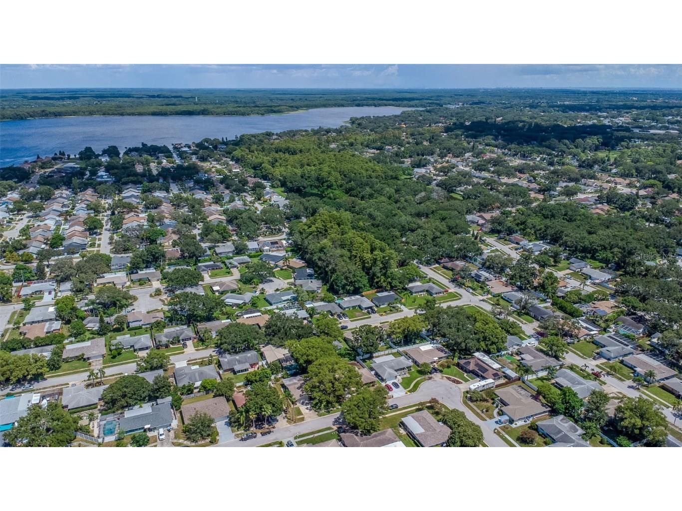 3250 Causeway Drive Palm Harbor FL 34684 TB8420345 image51