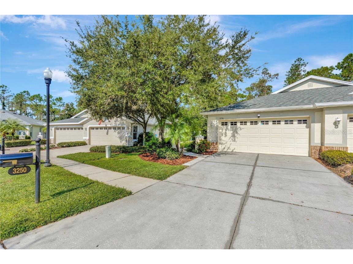 3250 Chapel Creek Circle Wesley Chapel FL 33544 T3473110 image1