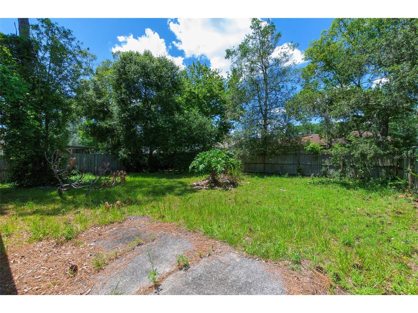 3250 Clewiston Street Deltona FL 32738 V4949844 image4