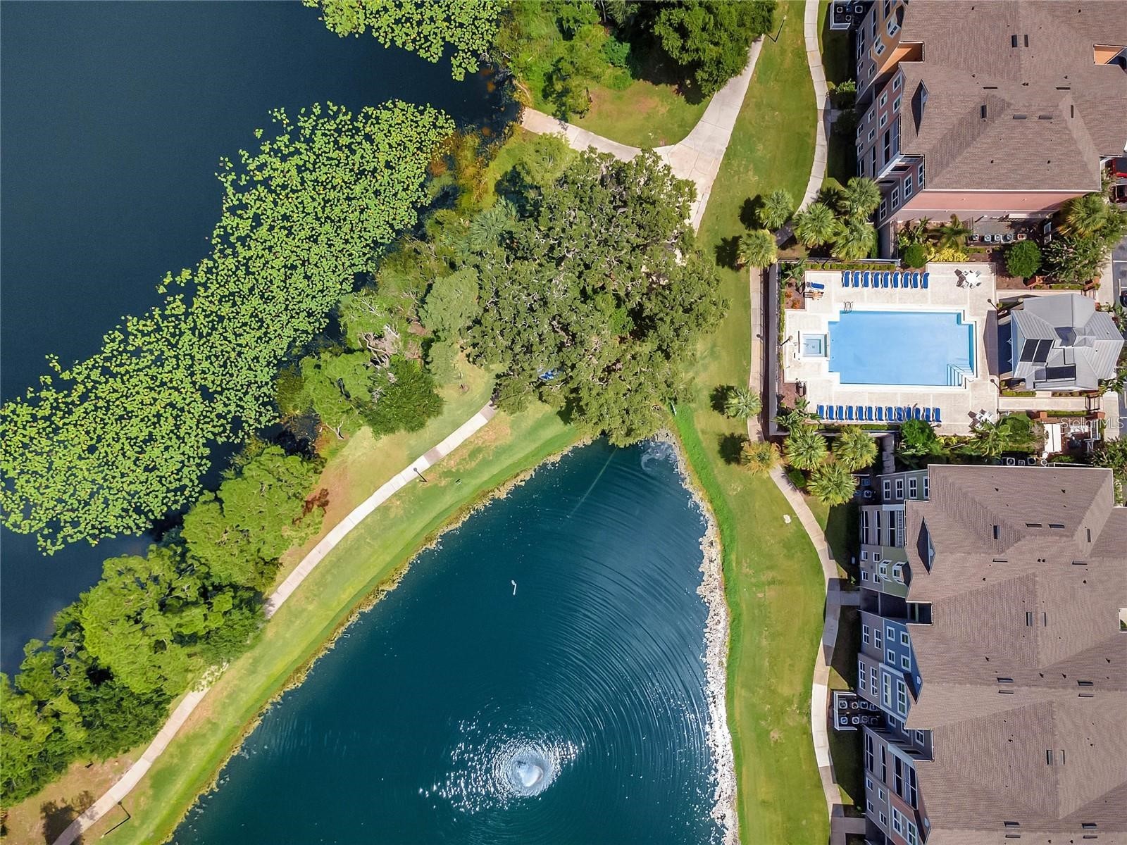 3250 Corona Village Way #204 Orlando FL 32835 - TURKEY LAKE O6378951 image35