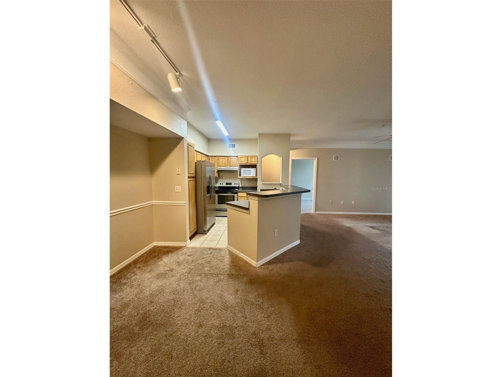 3250 Corona Village Way #206 Orlando FL 32835 S5146578 image4
