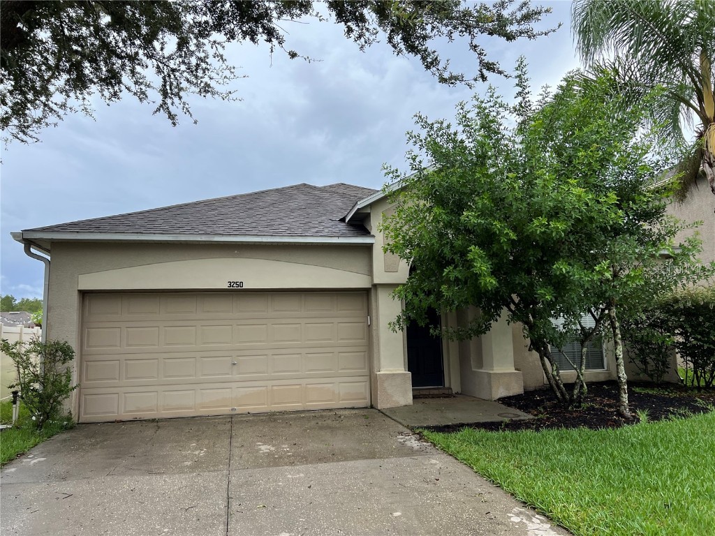 3250 Downan Point Drive Land O Lakes FL 34638 T3469253 image1