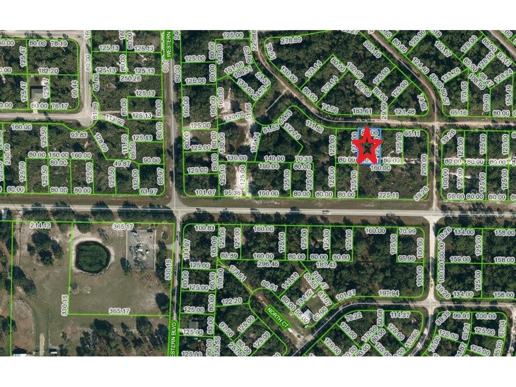 3250 Gossamer Avenue Lake Placid FL 33852 C7474499 image1