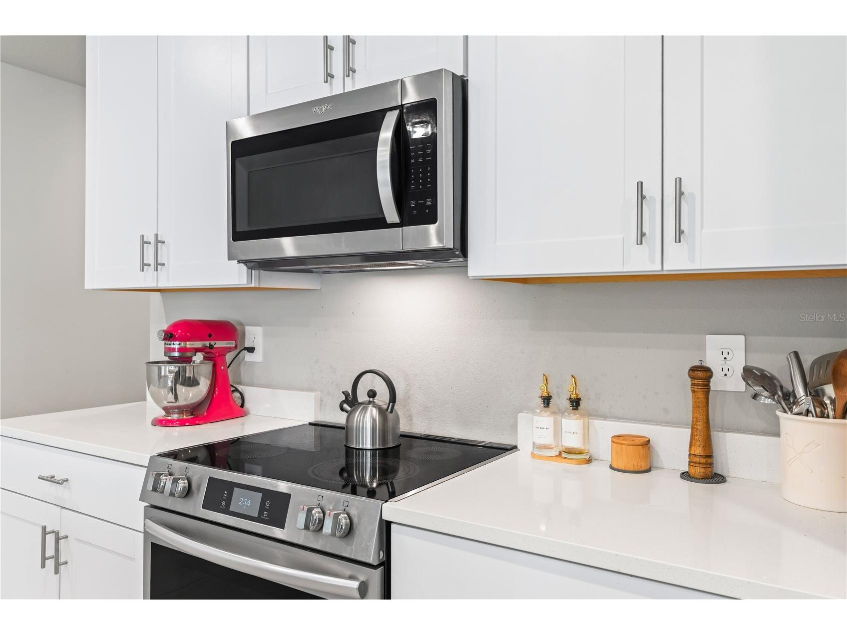 32502 Limitless Place Wesley Chapel FL 33545 TB8497800 image14