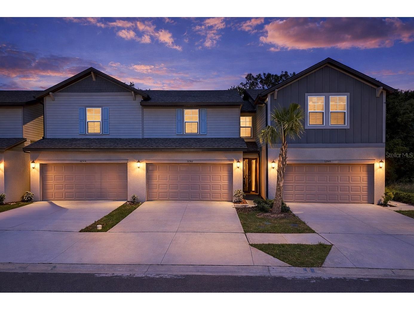 32502 Limitless Place Wesley Chapel FL 33545 TB8497800 image2