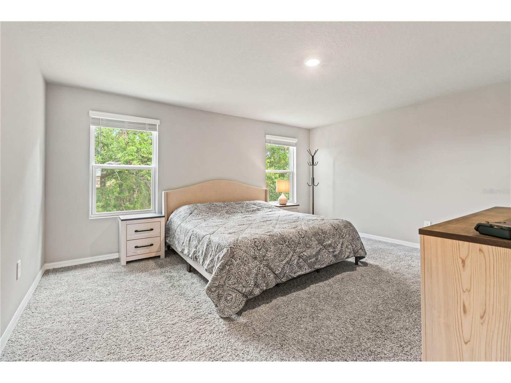 32502 Limitless Place Wesley Chapel FL 33545 TB8497800 image40