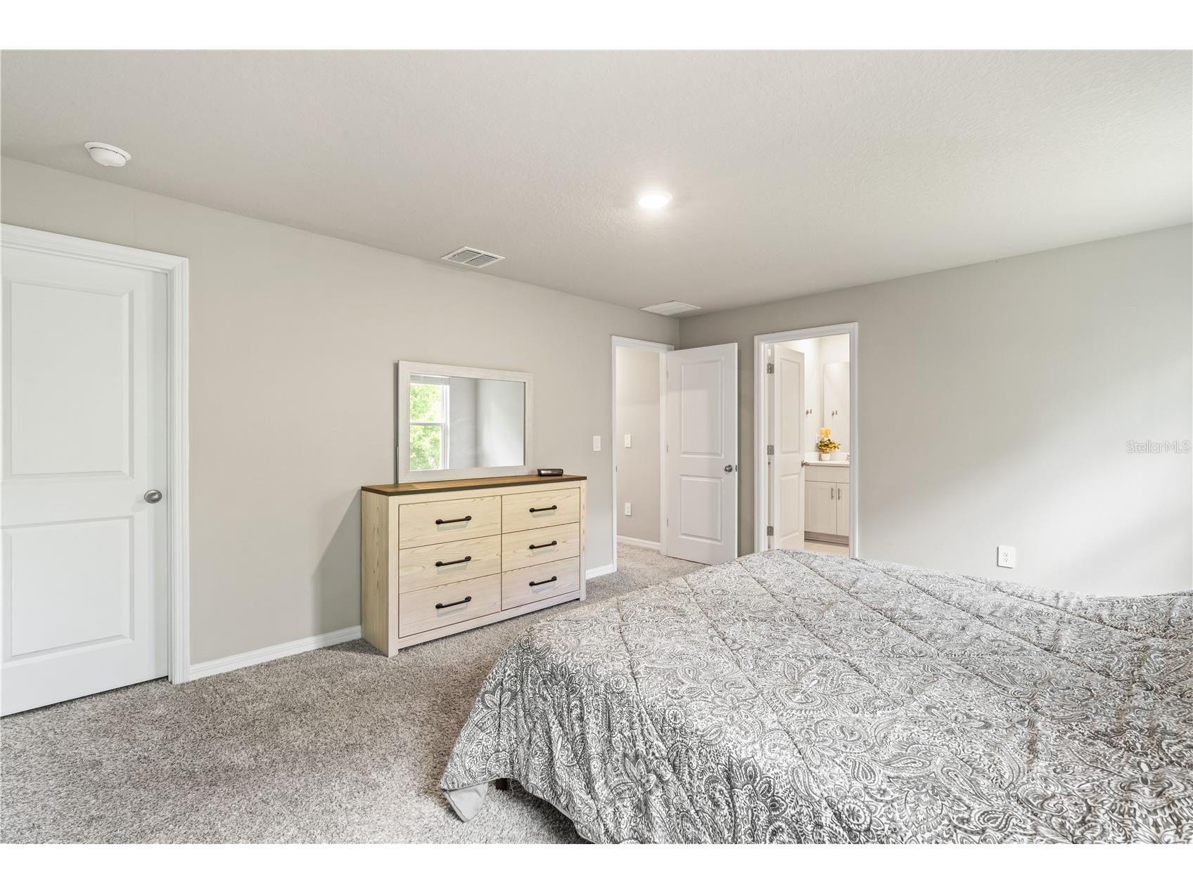 32502 Limitless Place Wesley Chapel FL 33545 TB8497800 image42
