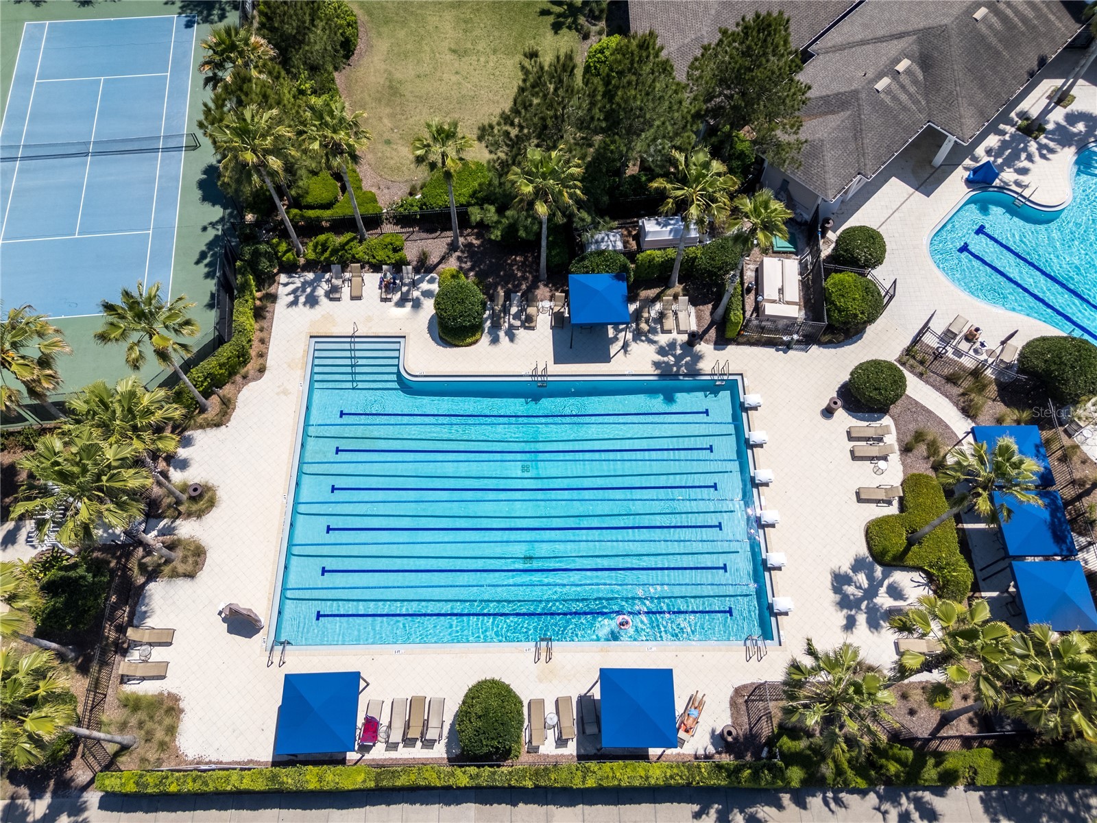32502 Limitless Place Wesley Chapel FL 33545 TB8497800 image61