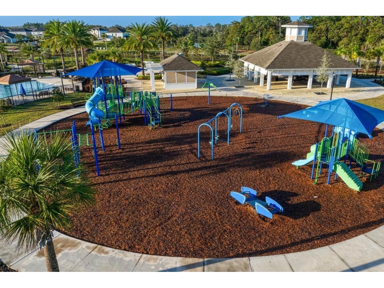 32502 Limitless Place Wesley Chapel FL 33545 TB8497800 image64