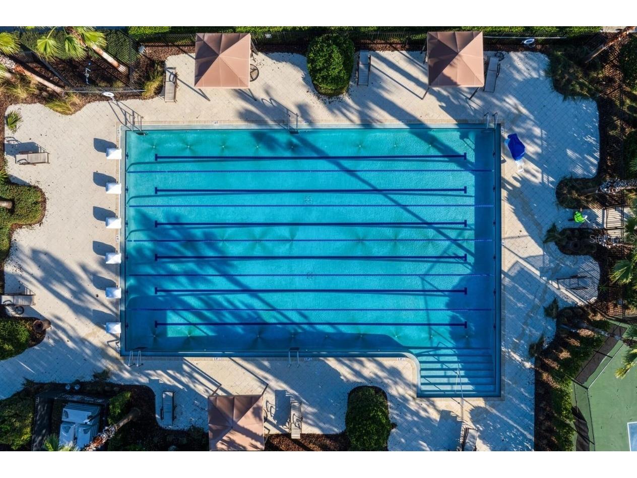 32502 Limitless Place Wesley Chapel FL 33545 TB8497800 image65