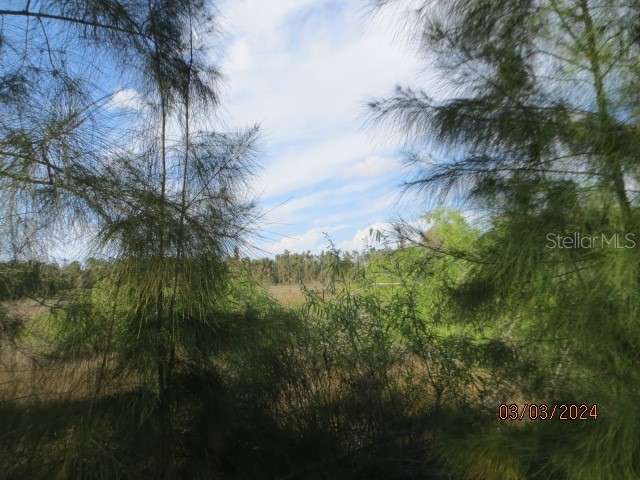 32504 Oil Well Road Punta Gorda FL 33955 C7489136 image1