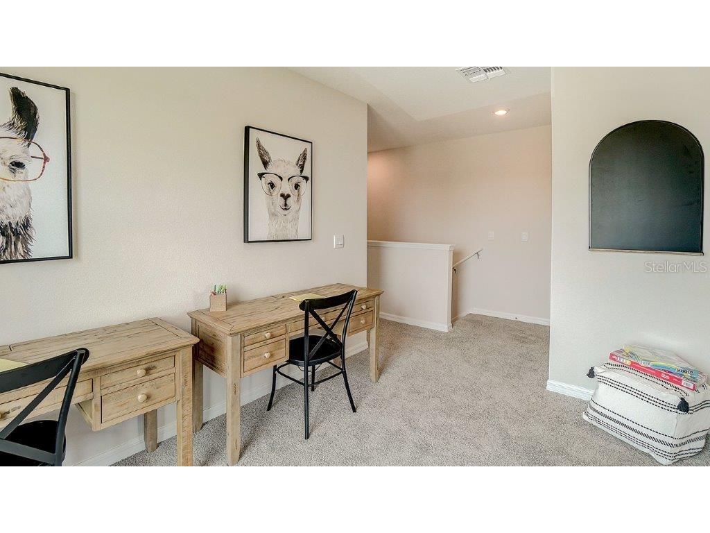 32505 Midsummer Night Lane Wesley Chapel FL 33543 TB8480688 image8