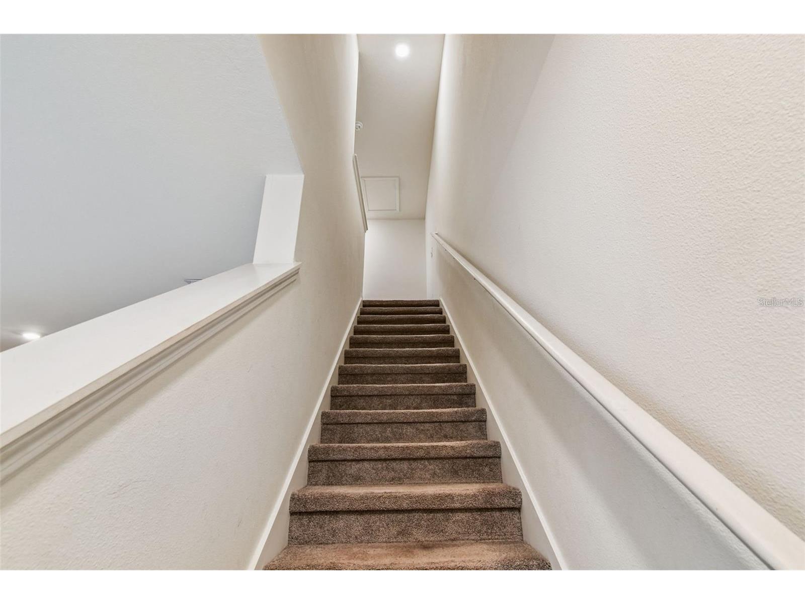 32505 Turtle Grace Loop Wesley Chapel FL 33545 TB8483006 image17