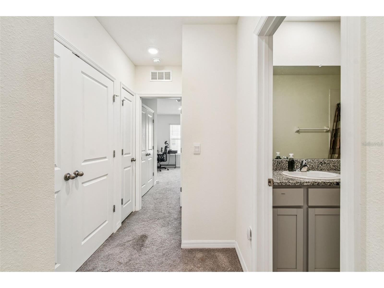 32505 Turtle Grace Loop Wesley Chapel FL 33545 TB8483006 image18