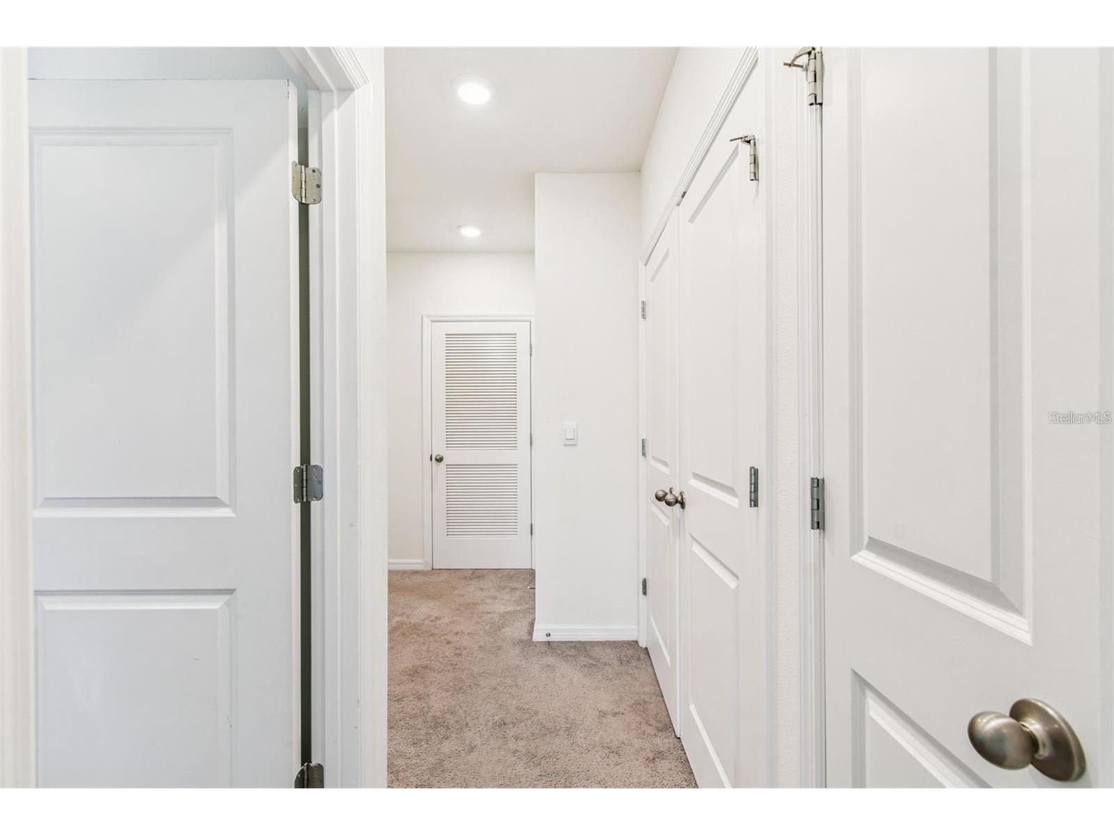 32505 Turtle Grace Loop Wesley Chapel FL 33545 TB8483006 image19