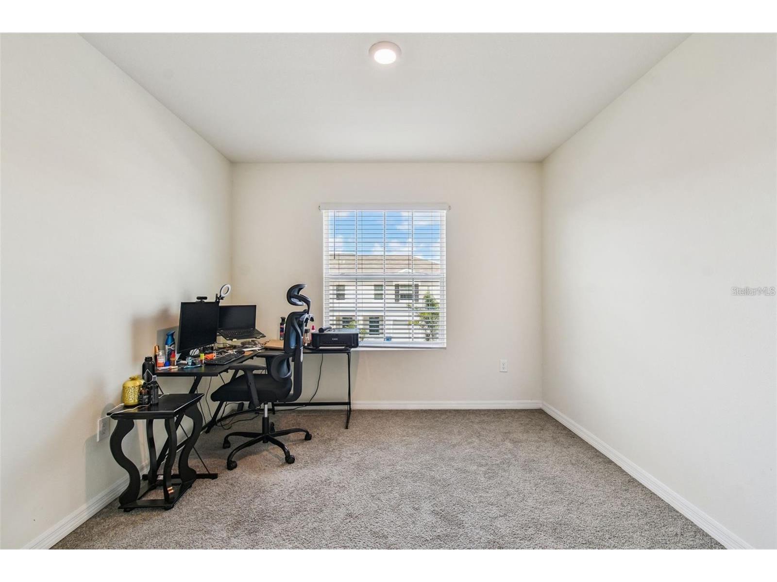 32505 Turtle Grace Loop Wesley Chapel FL 33545 TB8483006 image22