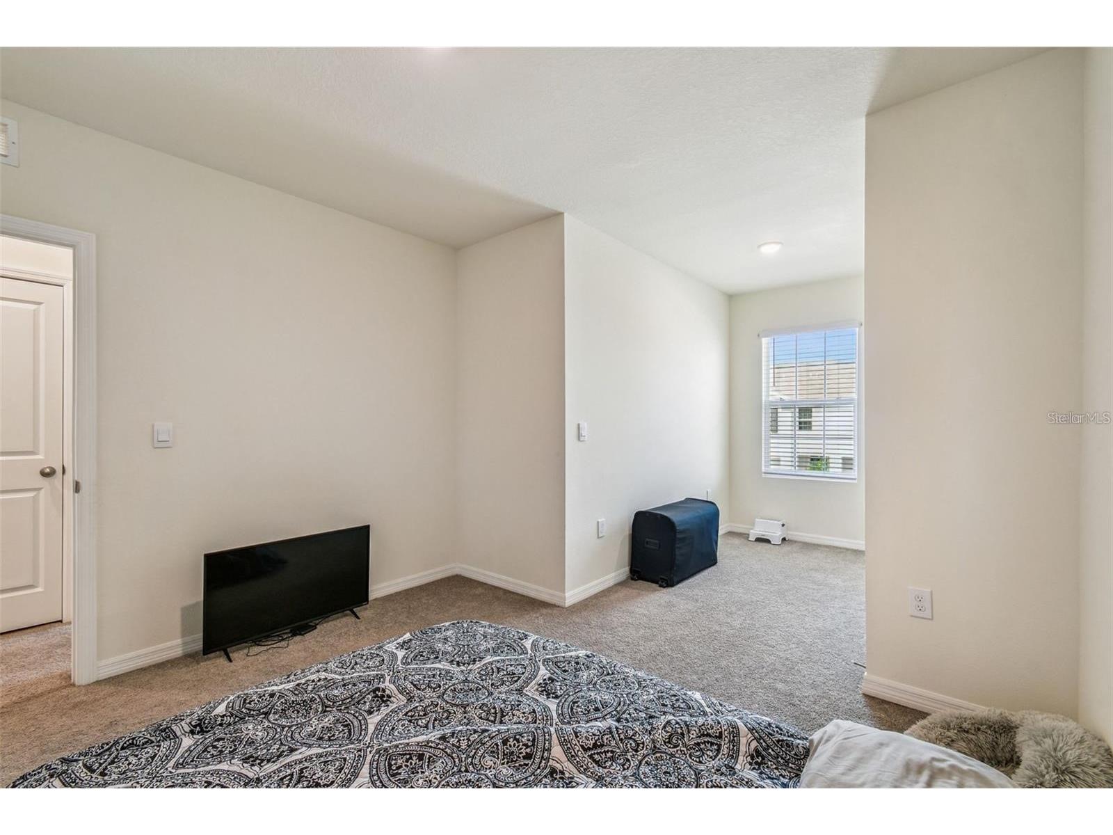 32505 Turtle Grace Loop Wesley Chapel FL 33545 TB8483006 image26