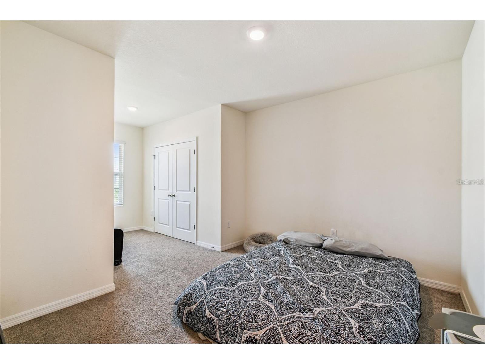 32505 Turtle Grace Loop Wesley Chapel FL 33545 TB8483006 image27