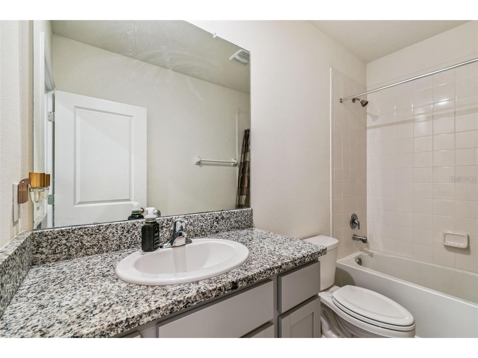 32505 Turtle Grace Loop Wesley Chapel FL 33545 TB8483006 image29