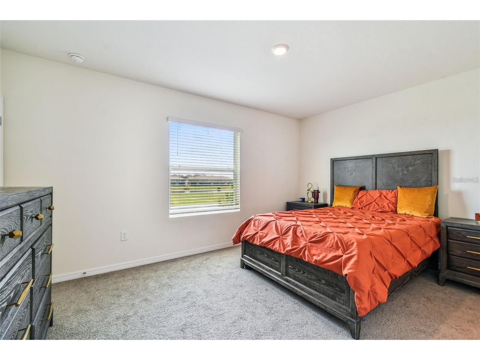 32505 Turtle Grace Loop Wesley Chapel FL 33545 TB8483006 image30