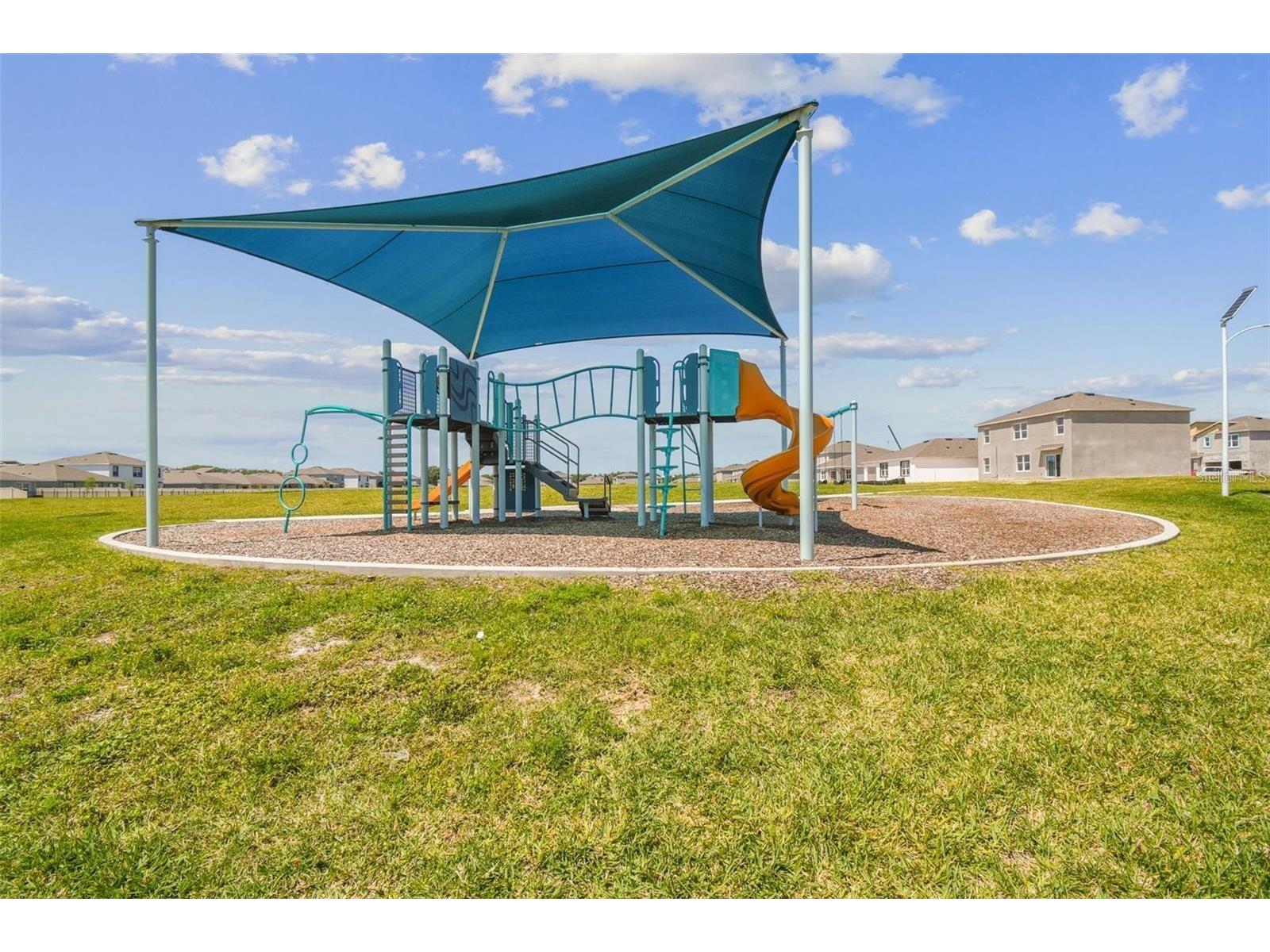 32505 Turtle Grace Loop Wesley Chapel FL 33545 TB8483006 image42