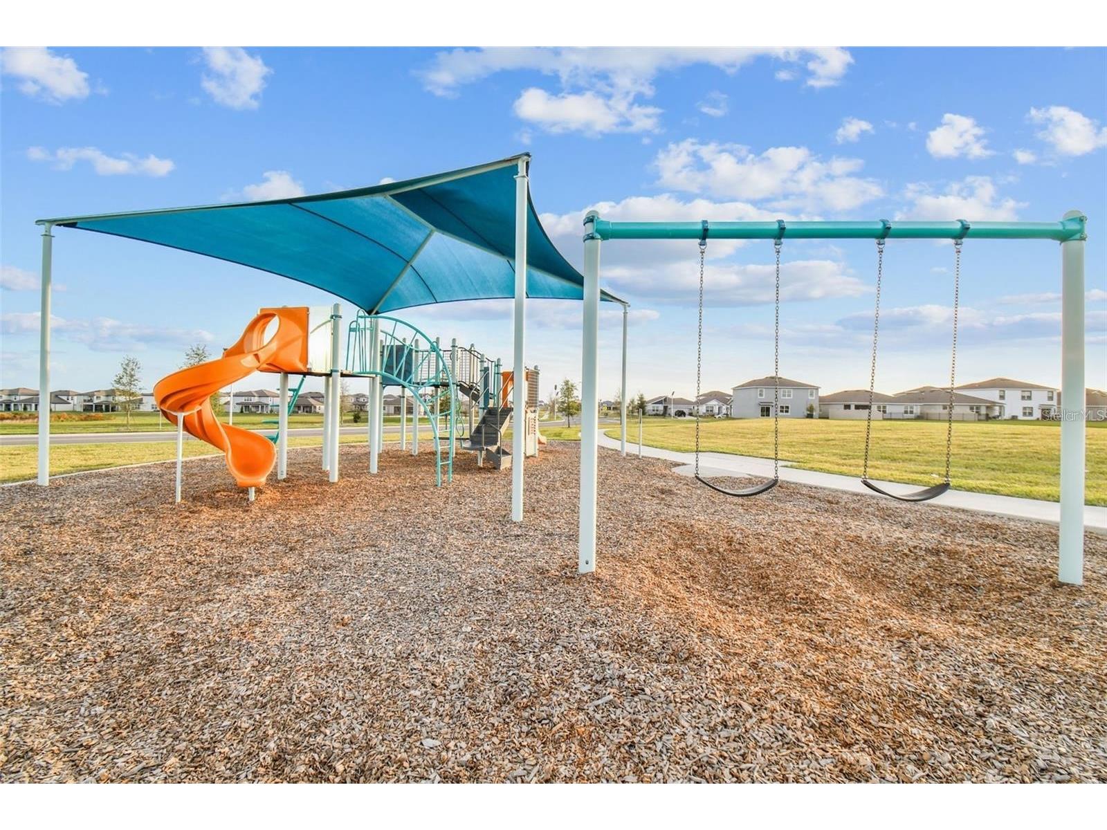 32505 Turtle Grace Loop Wesley Chapel FL 33545 TB8483006 image43