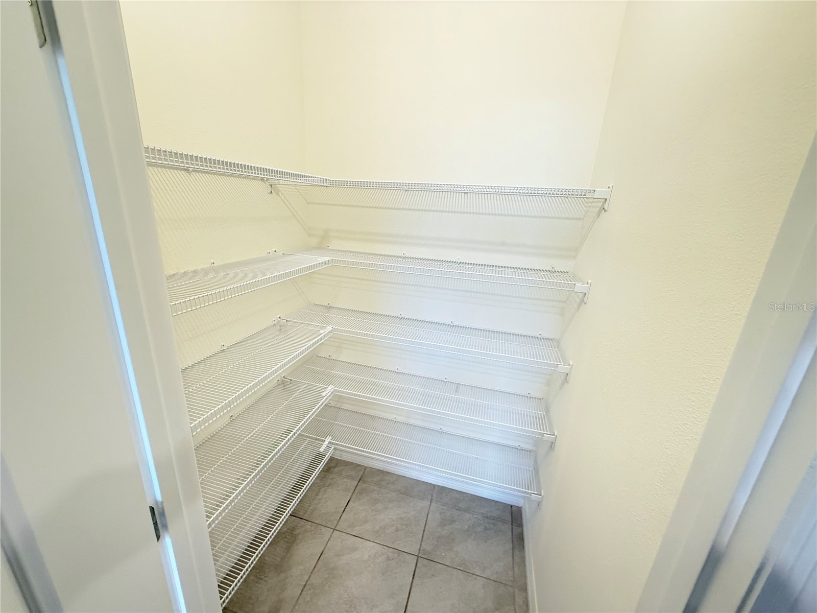 32507 Turtle Grace Loop Wesley Chapel FL 33545 S5141985 image16