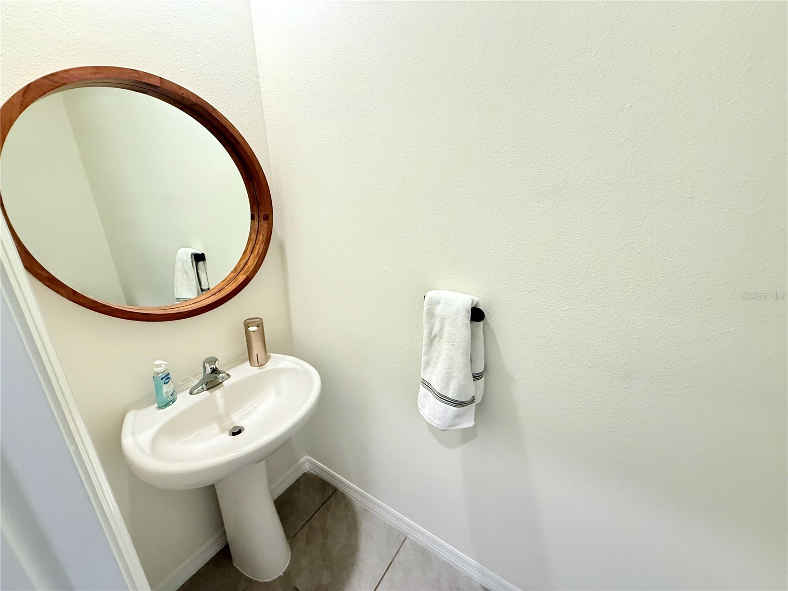 32507 Turtle Grace Loop Wesley Chapel FL 33545 S5141985 image18