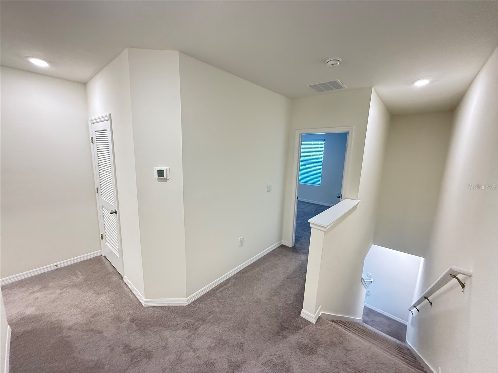 32507 Turtle Grace Loop Wesley Chapel FL 33545 S5141985 image20