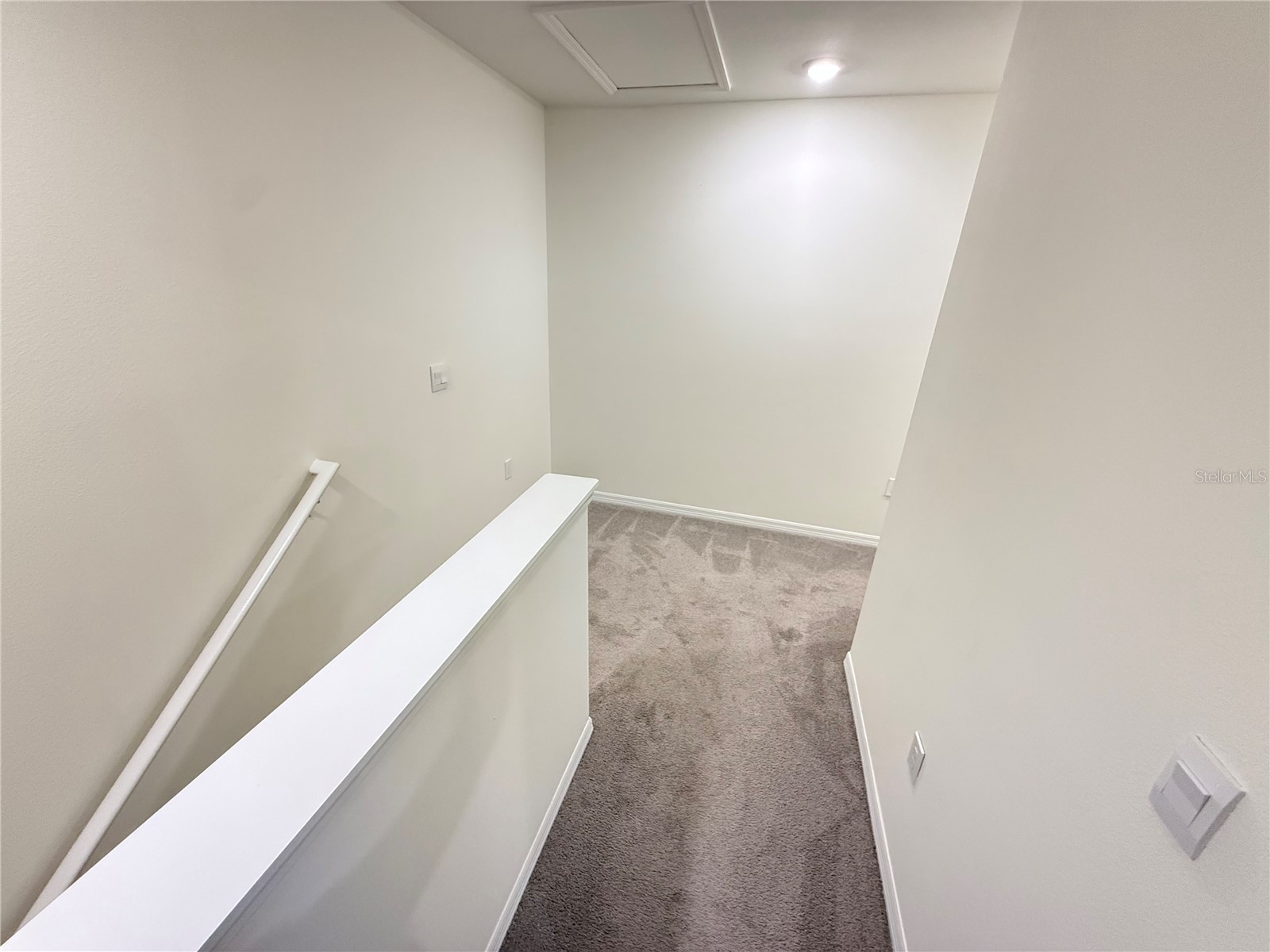 32507 Turtle Grace Loop Wesley Chapel FL 33545 S5141985 image21