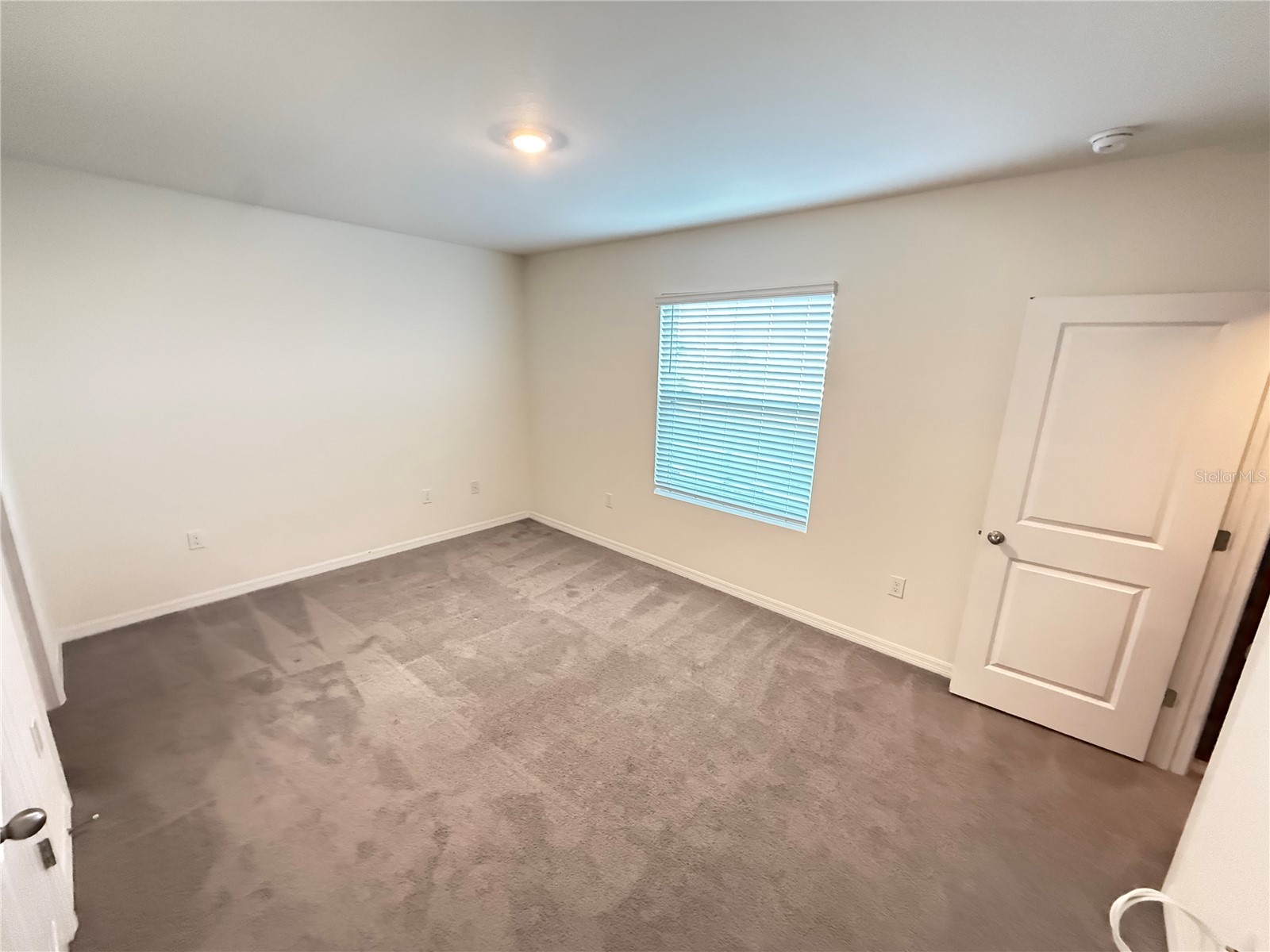 32507 Turtle Grace Loop Wesley Chapel FL 33545 S5141985 image24