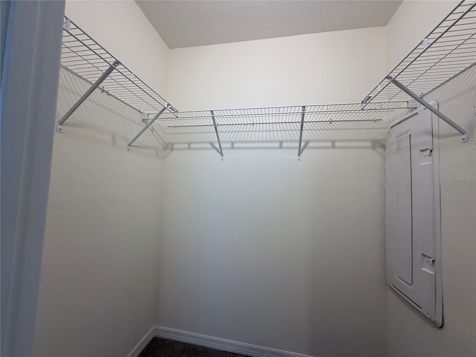 32507 Turtle Grace Loop Wesley Chapel FL 33545 S5141985 image25