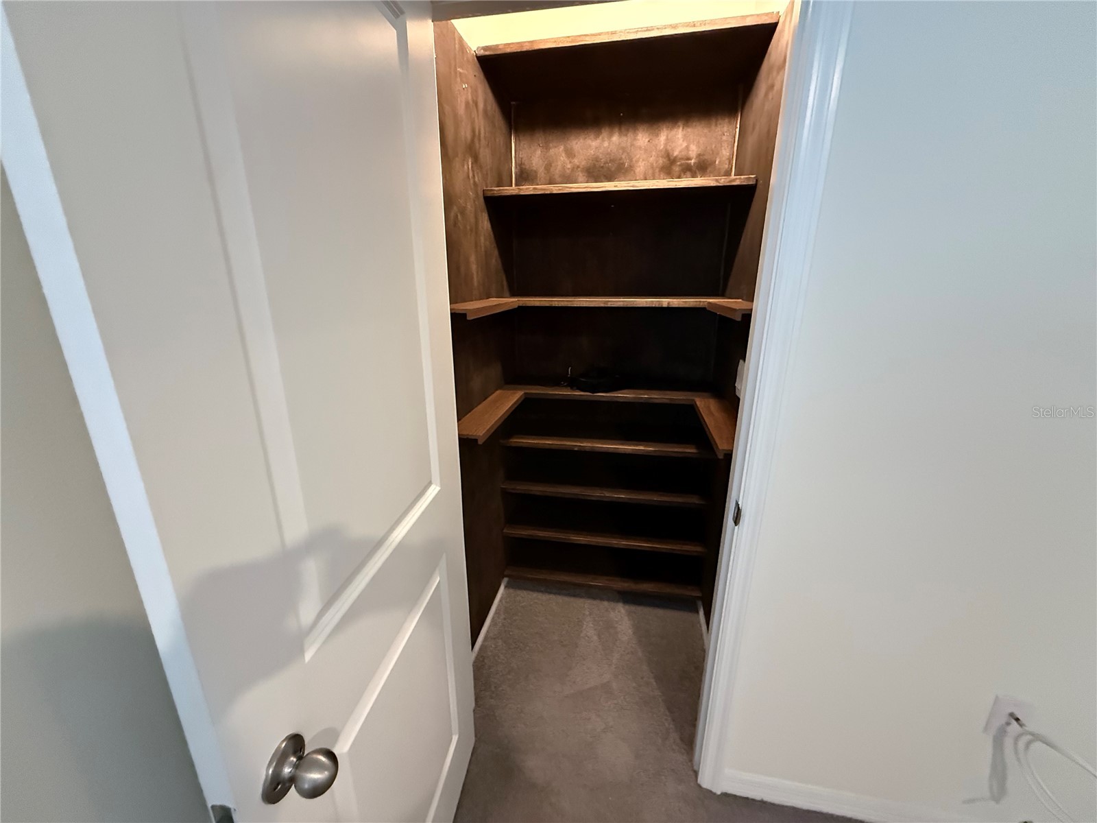 32507 Turtle Grace Loop Wesley Chapel FL 33545 S5141985 image26