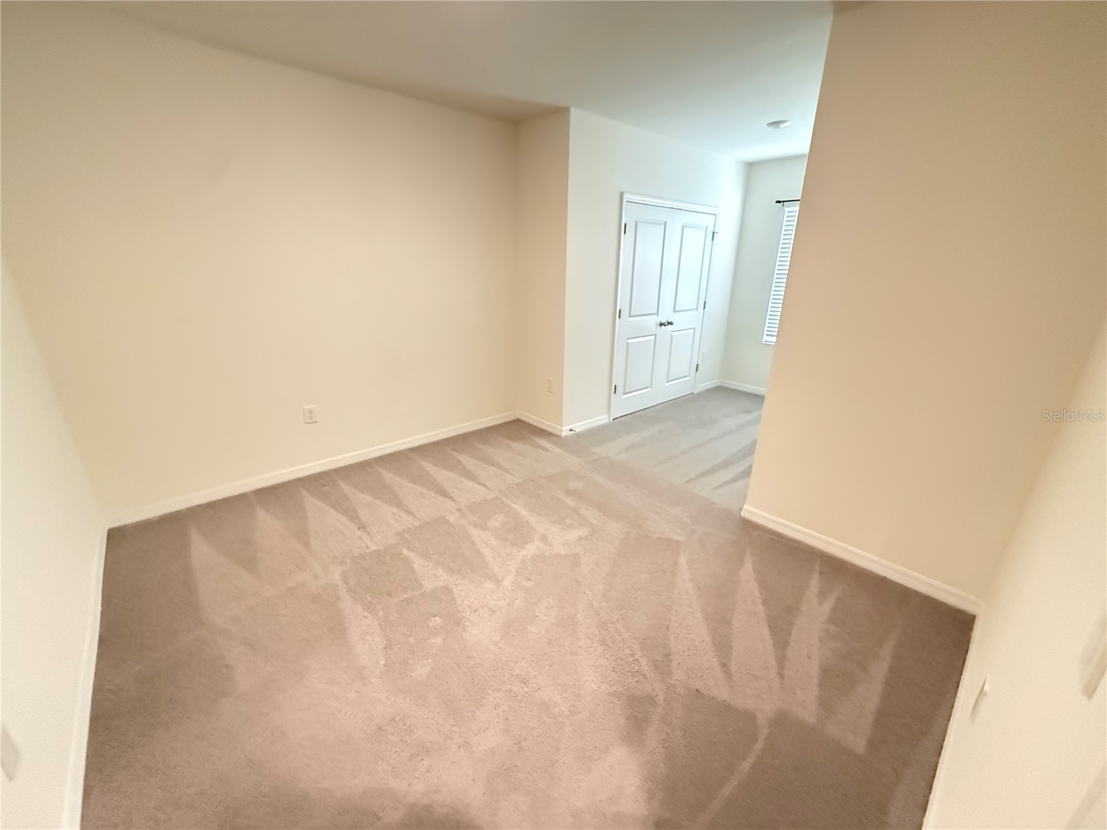 32507 Turtle Grace Loop Wesley Chapel FL 33545 S5141985 image30