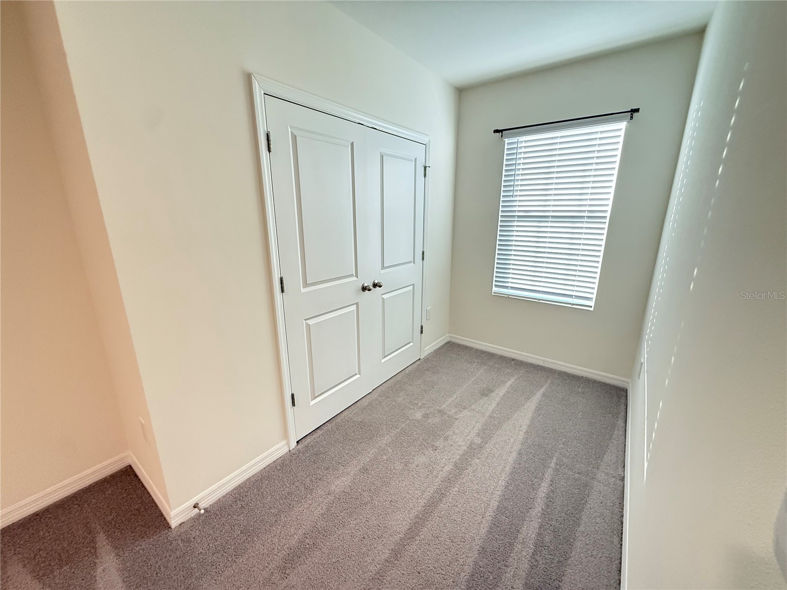 32507 Turtle Grace Loop Wesley Chapel FL 33545 S5141985 image32