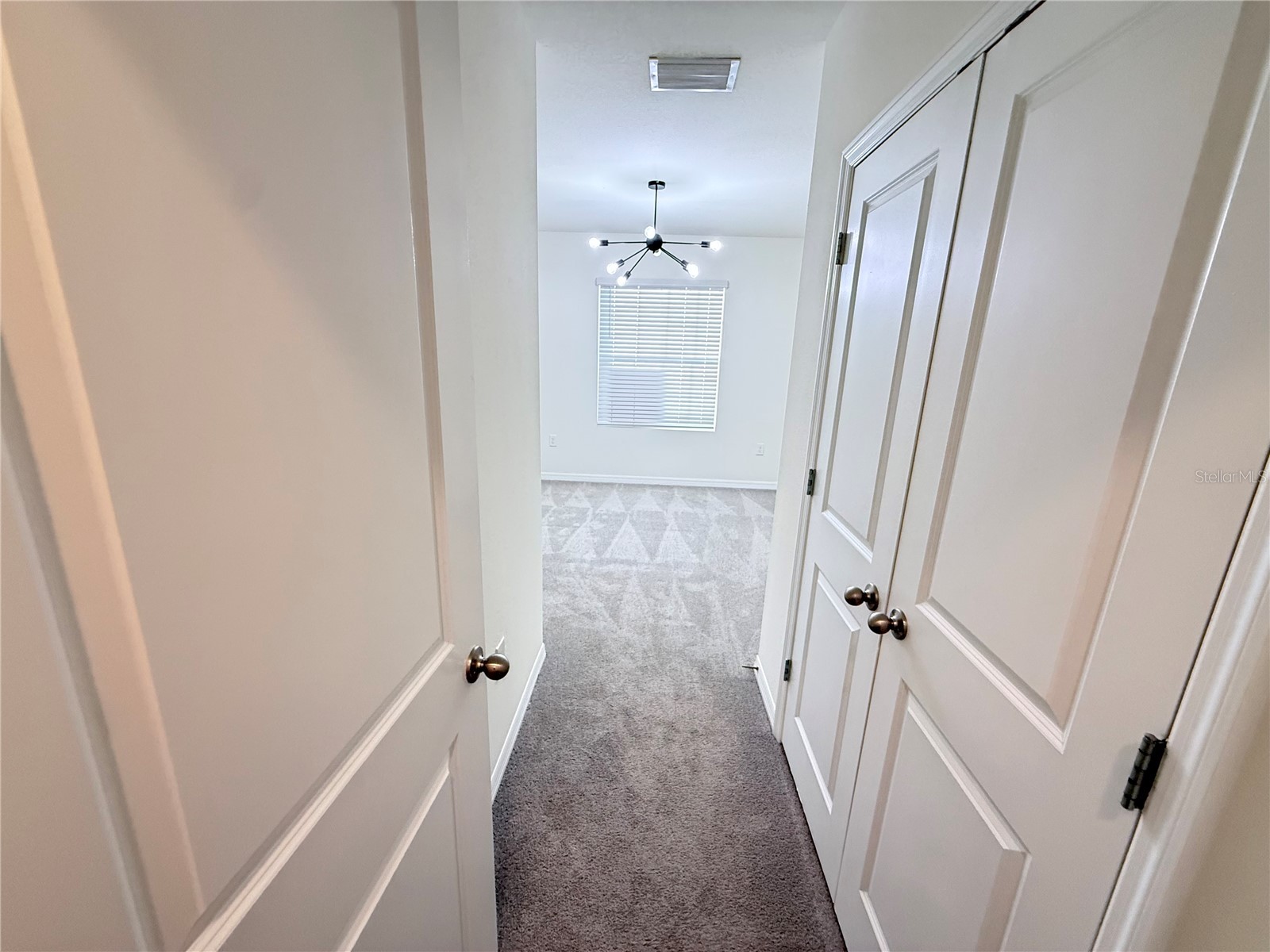 32507 Turtle Grace Loop Wesley Chapel FL 33545 S5141985 image33